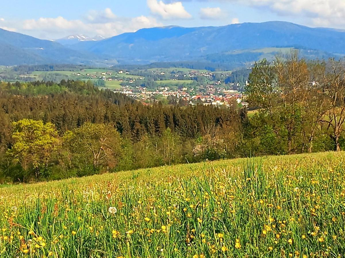 Ferienhaus Kaerntnergmiat Feldkirchen in Kärnten Dış mekan fotoğraf